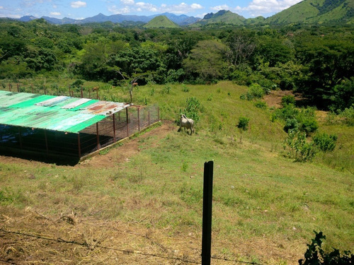 Imagen 10 de 14 de Excelente Finca Ubicada En San Sebastian. Estado Aragua