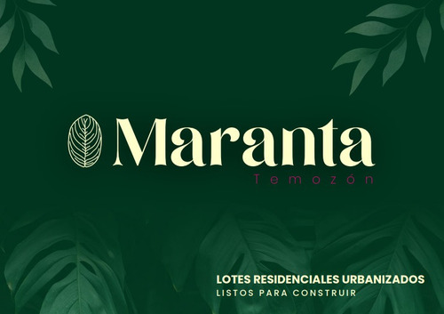 Terreno En Venta Maranta, Temozón