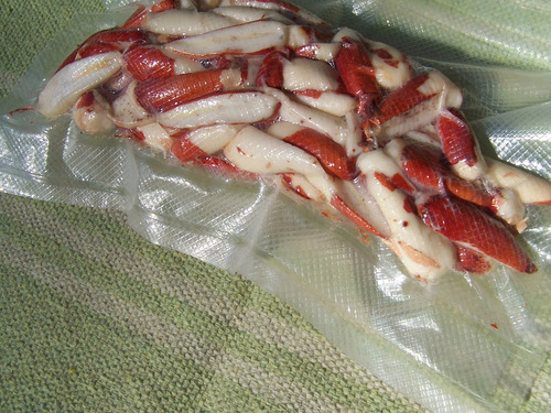 Piñones De Araucaria Pelados En Mitades X 80 Gr - Al Vacío