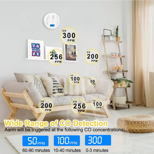 Detector De Monoxido De Carbono Alarma Alta Sensibilidad