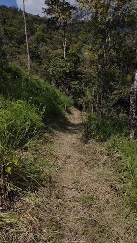 Imagen 3 de 9 de Venta Finca 2 Horas De Bogota