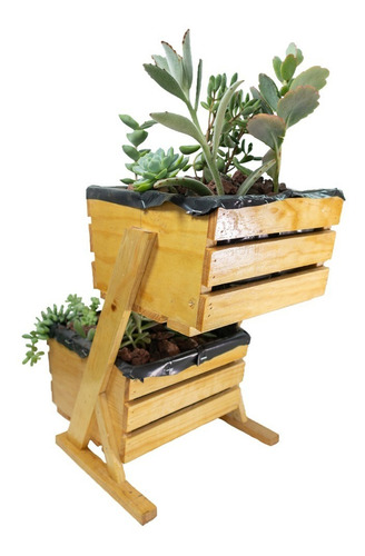 Mini Cultivo Vertical Suculentas