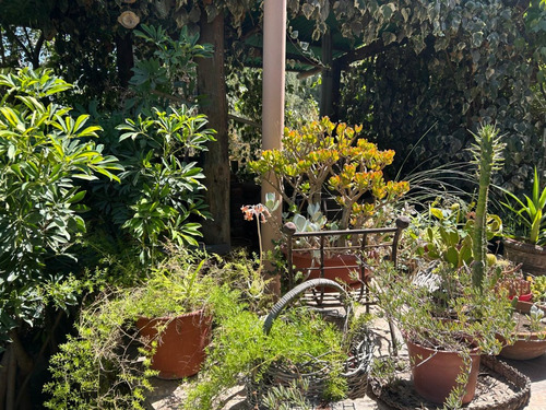 Terreno 1.700 Mts Con 4 Casas P. Alto Ideal Inversionista