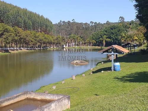 Imagem 15 de 15 de Chácara Para Venda Em Biritiba-mirim, Santa Catarina - Ch30_2-1220553