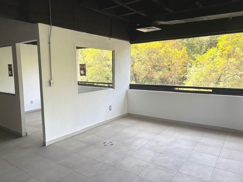 Oficinas En Renta En Constituyentes, San Miguel Chapultepec