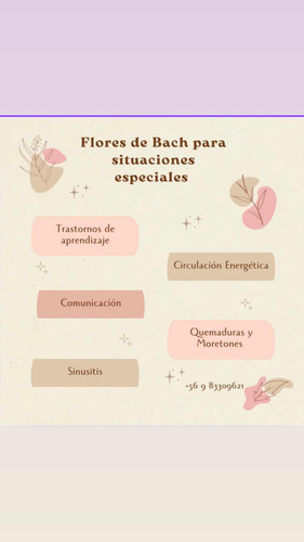 Terapia Floral Transpersonal