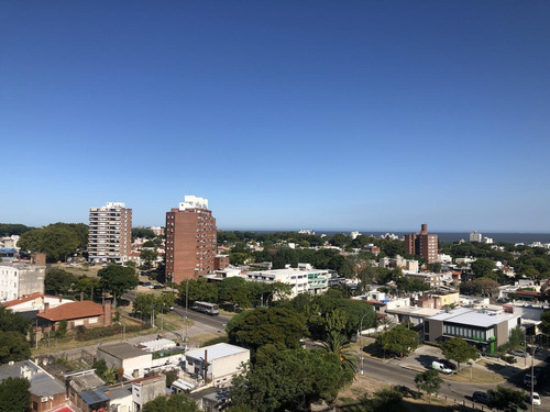 Imagen 3 de 20 de Departamento - Malvín-complejo Pilay - 1 Dorm Con Amplia Terraza Con Renta