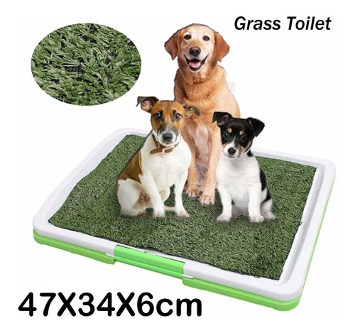 Tapete Grama Artificial Para Perros Cachorros 47 Cm