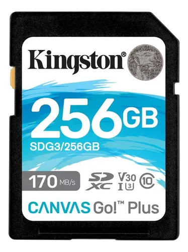 Sdg3/256gb Memoria Sd Canvas Go Plus 256 Gb