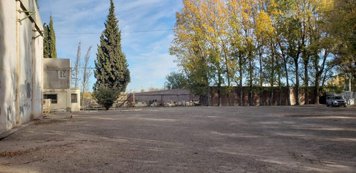 Imagen 5 de 10 de Alquilo Galpón 500 M2 C/ Ofi - Predio Cerrado - Neuquen