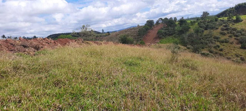 Imagem 8 de 14 de E11- Lotes Com Documentação