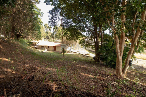 Imagem 5 de 11 de Área À Venda Em Jardim Do Vale - Ar009348