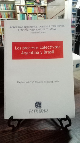 Los Procesos Colectivos: Argentina Y Brasil