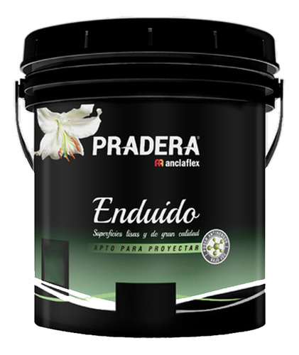 Enduido Para Exterior 4 Litros Anclaflex 1084424 Pintumm