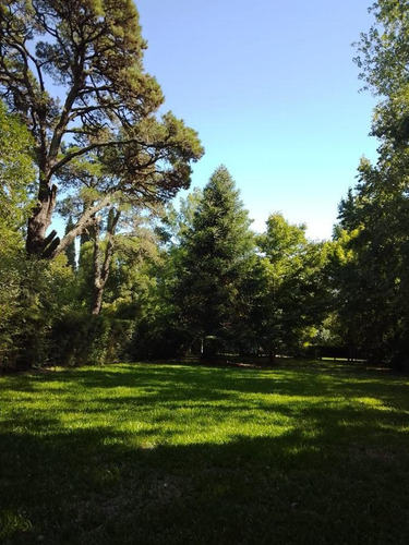 Imagen 7 de 15 de Terreno - Barrio El Cazador
