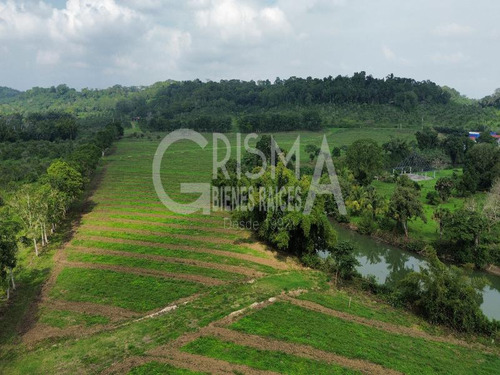 Increíbles Terrenos En Venta Frente Al Estero En Juana Moza, Tuxpan Ver.
