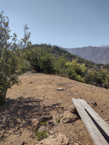 El Arrayan (94131)
