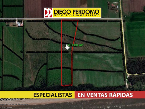 Chacra De 5has En Venta, Kiyú