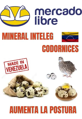 Mineral Inteleg Codornices Mayor Producción Huevos