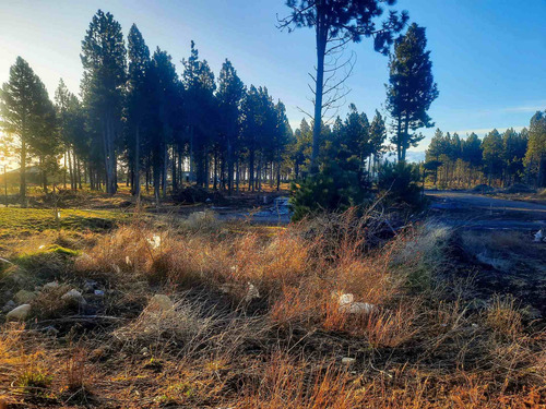 Imagen 3 de 9 de Terreno En Venta Solares Del Este Bariloche