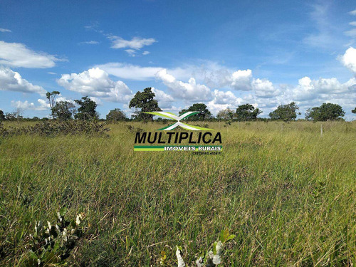 Oportunidade Chácara À Venda Uberlândia 20.000 M² Por R$ 130.000, Financia - 394