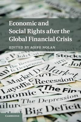 Libro Economic And Social Rights After The Global Financi...