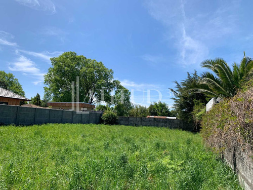 Terreno En Calle Gabriela Mistral (71503)