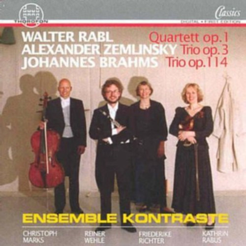 Cuarteto Ensemble Kontraste Para Violín, Violonchelo, Clarin