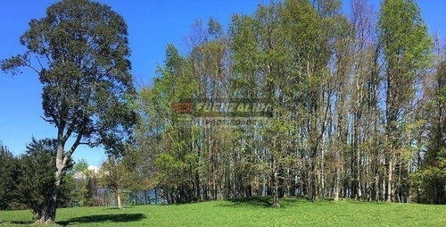 Imagen 4 de 10 de Sitio En Venta En Lago Puyehue Mantilhue