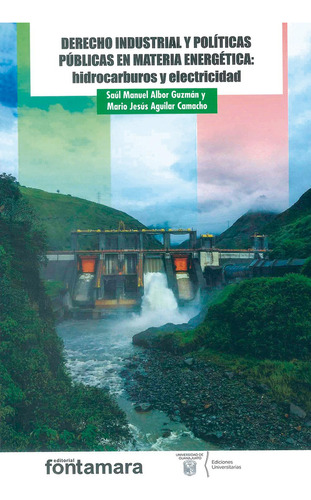 Derecho Industrial Y Políticas Públicas En Materia Energética: Hidrocarburos Y Electricidad: No Aplica, De Saúl Manuel Albor Guzmán. Editorial Fontamara, Edición 1 En Español, 2022