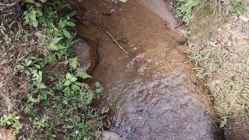 Imagem 2 de 26 de Juquiá/oportunidade/chácara Rica Em Água E Área De Plantio/ref:05354