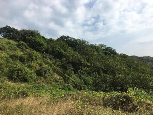 Terreno De Oportunidad En Punta De Antón Lizardo, Veracruz