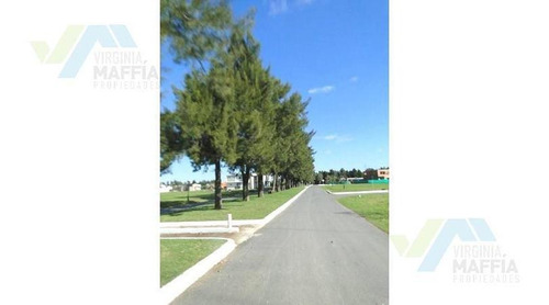 Imagen 2 de 8 de Terreno - Altos De Campo Grande