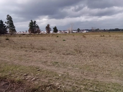 Imagen 6 de 13 de Agrícola En Venta En Chillán