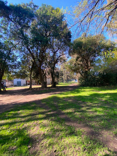 Imagen 12 de 13 de En Venta Importante Chacra 5.5 Hectareas Con Emprendimiento