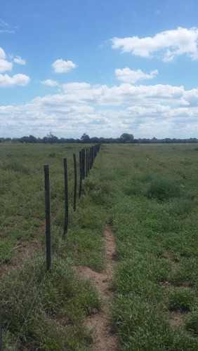 Imagen 19 de 30 de Se Vende Campo En Cordoba Listo Para Trabajarlo