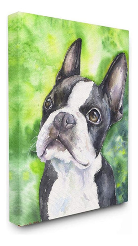 Stupell Industries Lindo Boston Terrier Perro Mascota Acuare