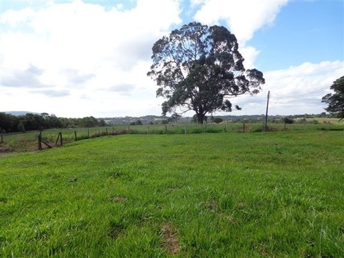 Imagem 10 de 13 de Venda - Sítio Zona Rural / Araçoiaba Da Serra/sp - 4254