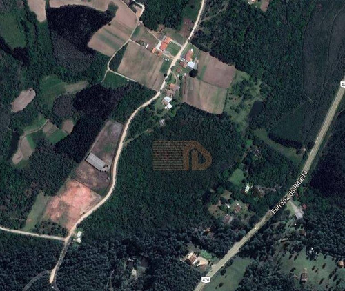 Imagem 3 de 10 de Chácara À Venda, 73.568 M² Por R$ 1.100.000 - Imbuial - Colombo/pr - Ch0011