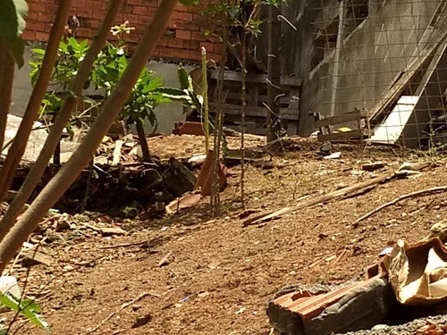 Imagem 6 de 8 de Terreno, Vila Engenho Novo, Barueri - R$ 170 Mil, Cod: 409 - V409