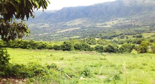 Lote De Terreno De 10 Hectáreas En Tocaima Cundinamarca 