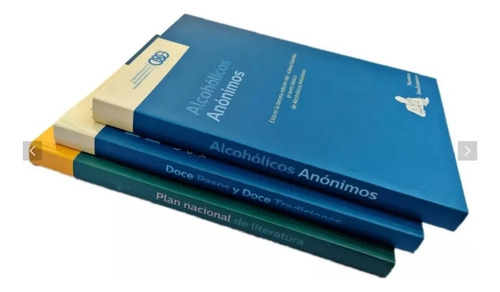A. A. 12 Pasos Y 12 Tradiciones, Plan Nacional De Literatura