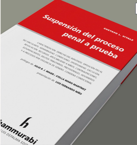 Suspensión Del Proceso Penal A Prueba, De Gustavo Vitale. Editorial Hammurabi, Tapa Blanda En Español, 2022