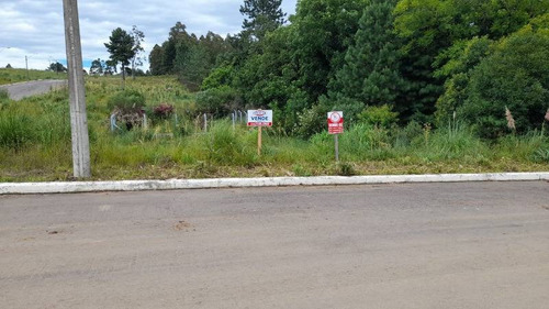 Imagem 3 de 4 de Terreno - Sao Francisco - Ref: 5144 - V-5144