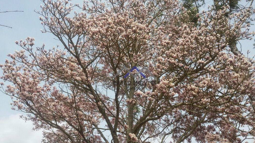 Imagem 2 de 30 de Chácara De 4.628 M² Em Pilar Do Sul/oportunidade - Ch0094