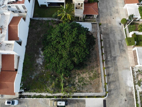 Imagen 6 de 7 de Terreno - Tuxtla Gutiérrez