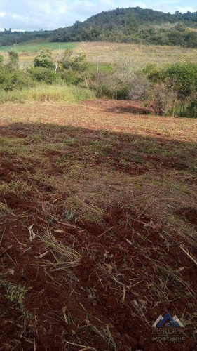 Imagem 4 de 15 de Chácara Com 2 Dormitórios À Venda, 12151 M² Por R$ 220.000,00 - Ribeirão Jataizinho - Assaí/pr - Ch0213
