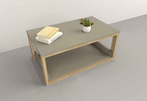 Mesa Ratona Centro De Living Minimalista Con Estante Hogar Color Olmo Gris