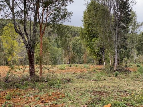 Parcelas En Los Muermos En Proyecto Con Linda Vista