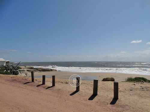 Arenque En Punta Del Diablo